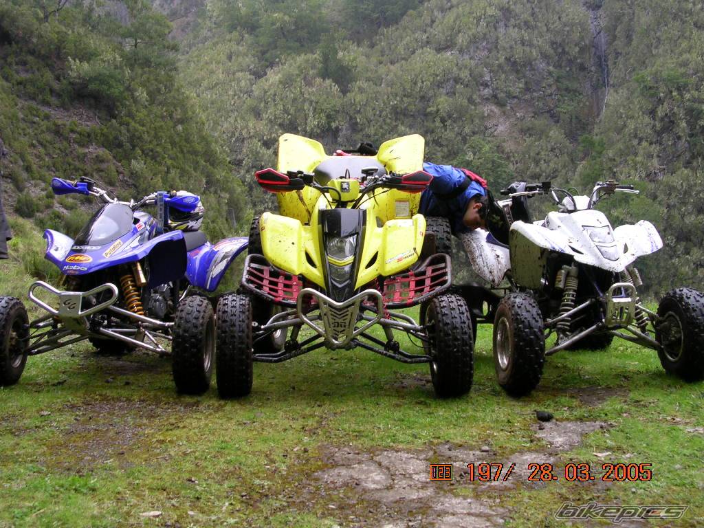 Bike Photo 319748