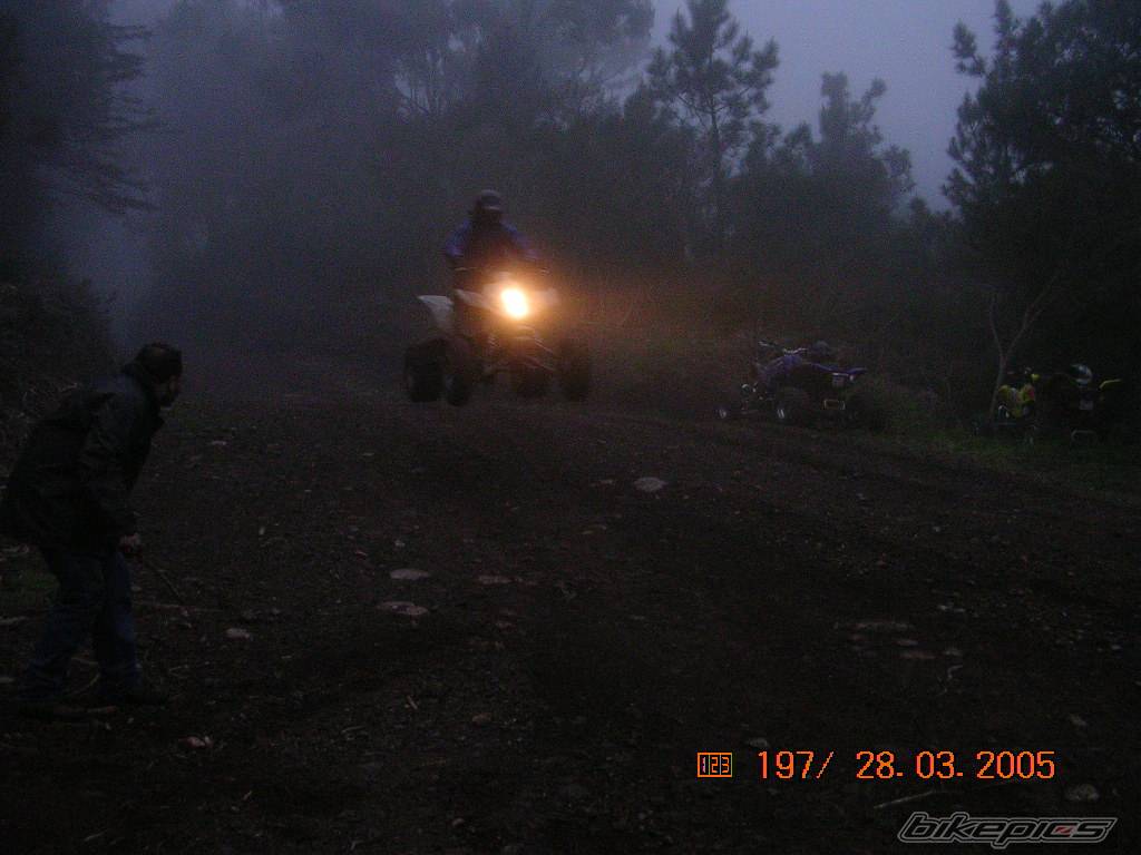 Bike Photo 319754