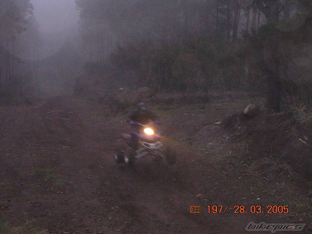 Bike Photo 319755
