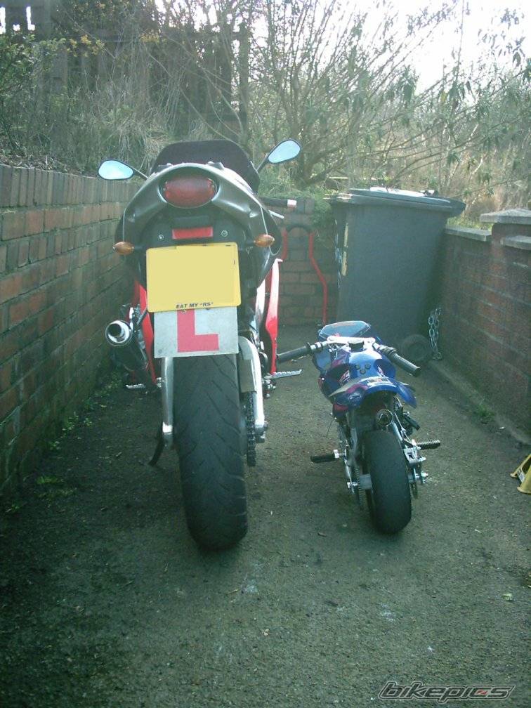 Photo 319764