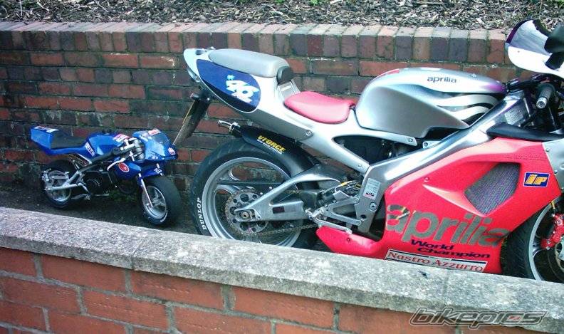 Photo 319766