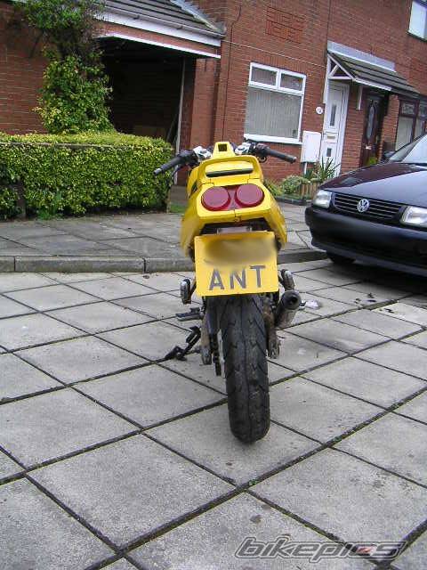 Photo 319771