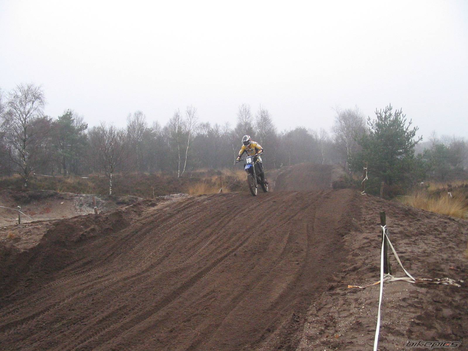 Photo 319785