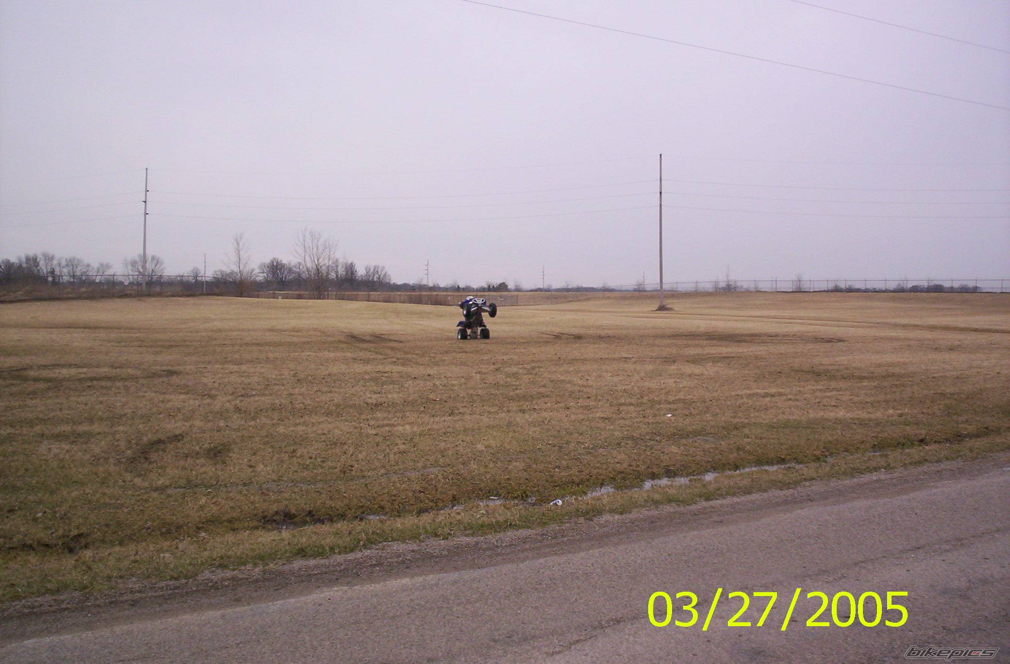Photo 319797