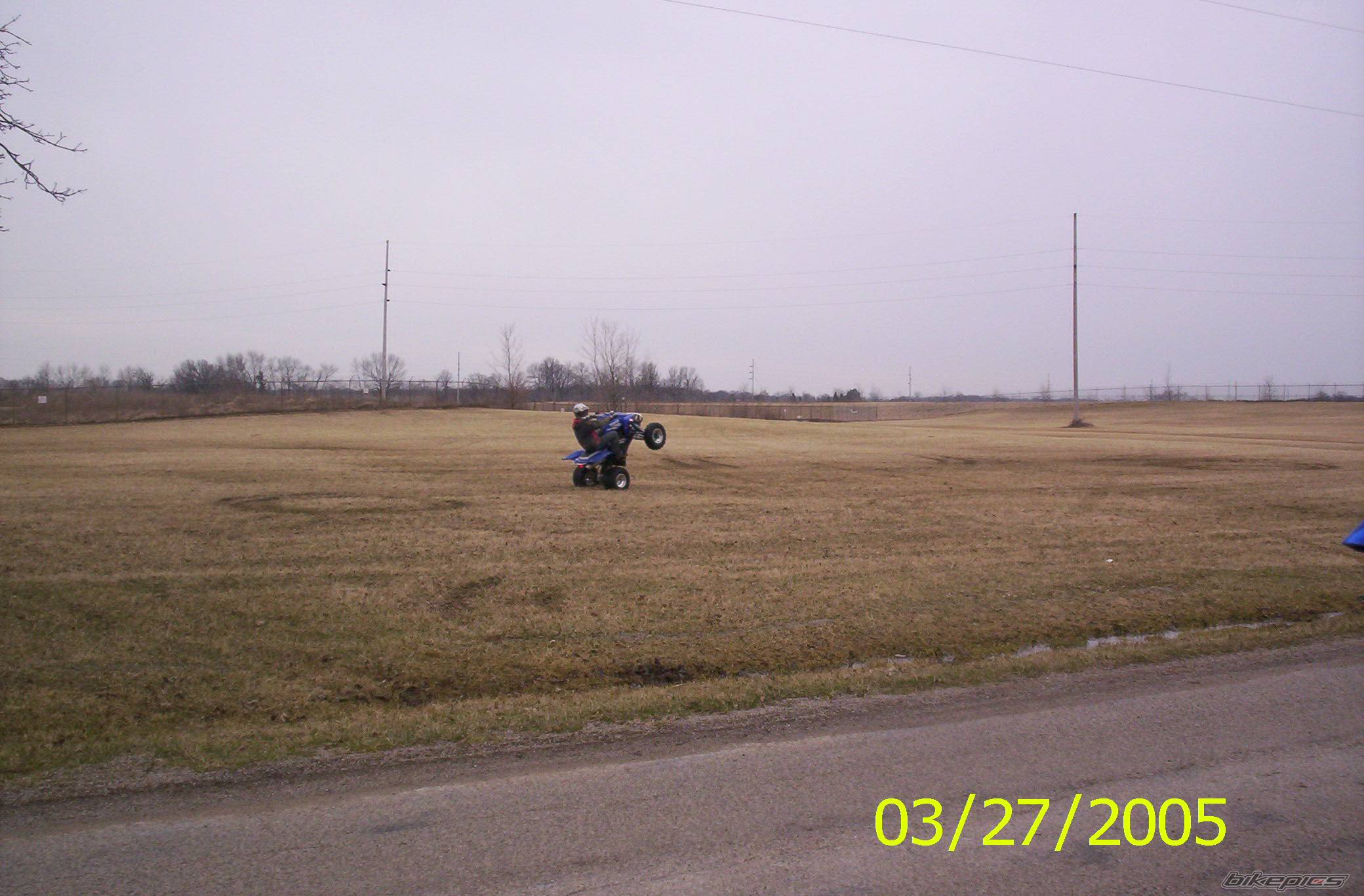 Photo 319798