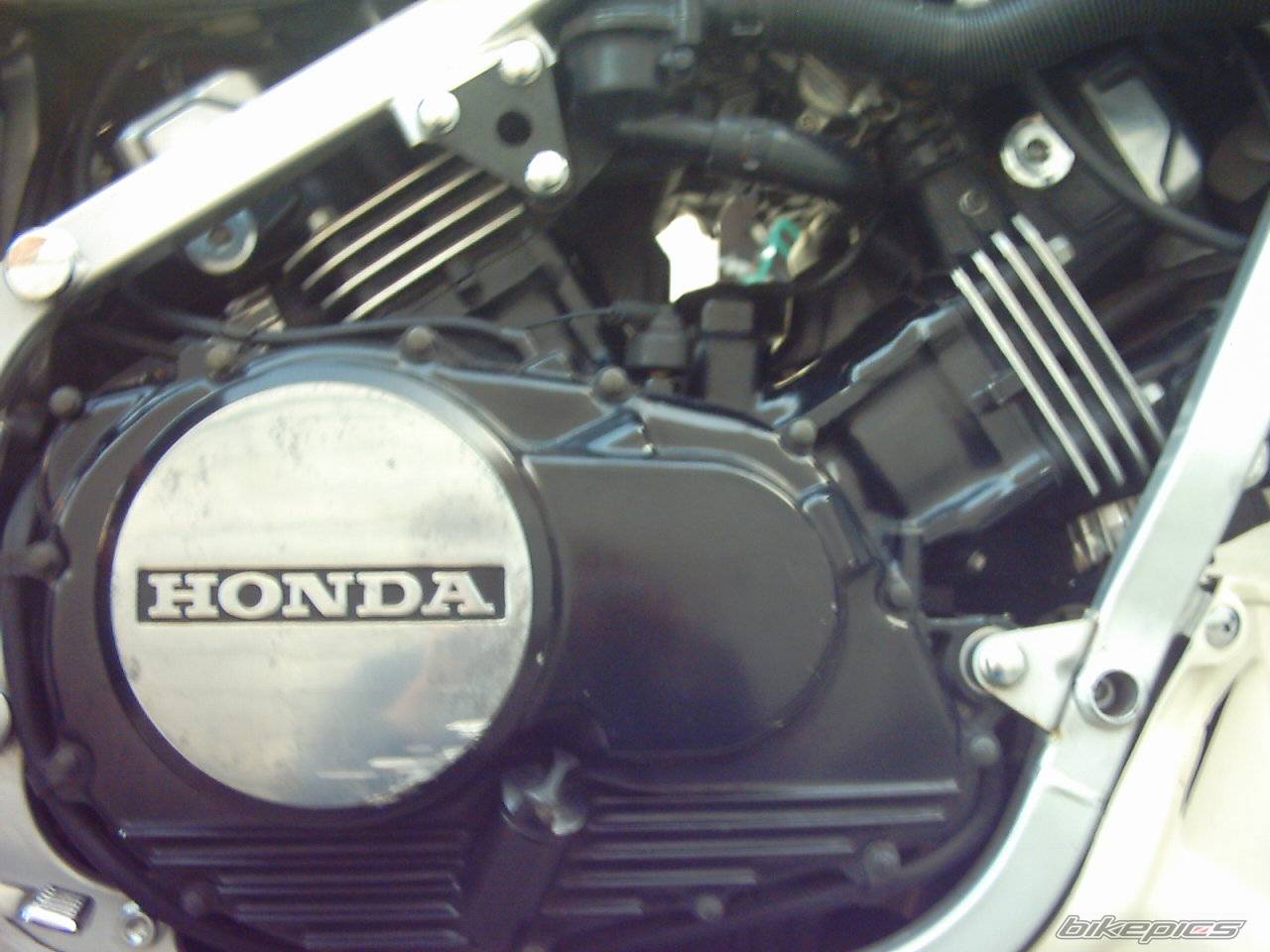 Photo 319820