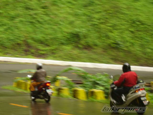 Photo 319849