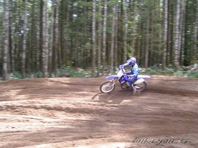 Photo 319868