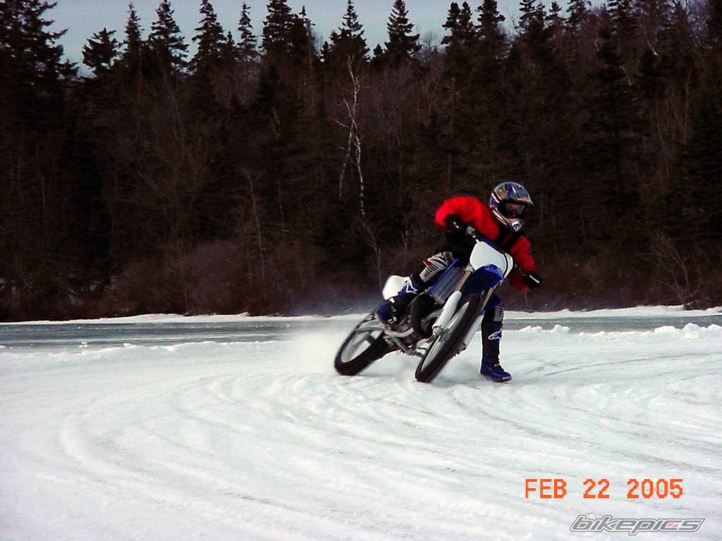 Photo 319877