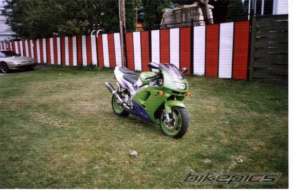 Photo 319882