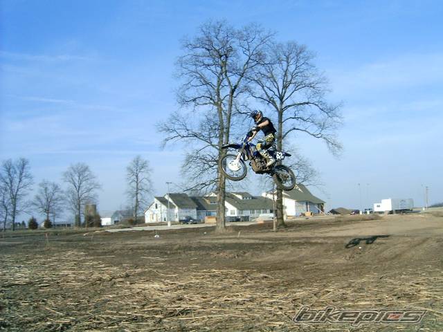 Photo 319906
