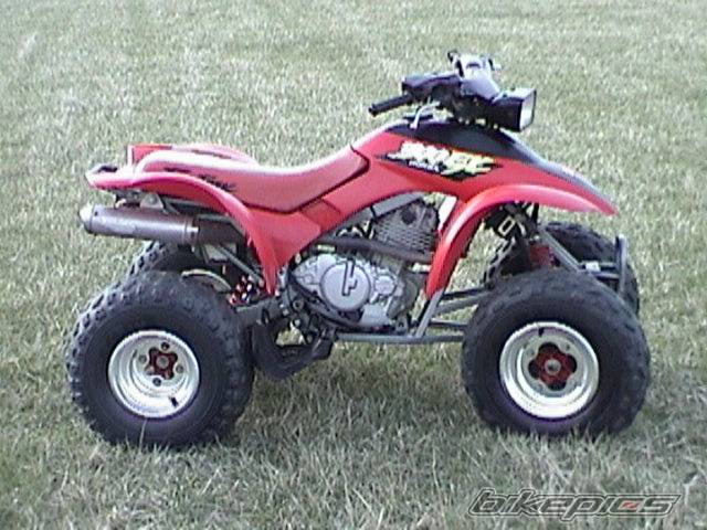 Photo 319917