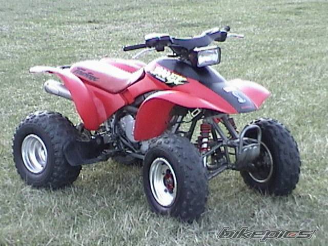 Photo 319919