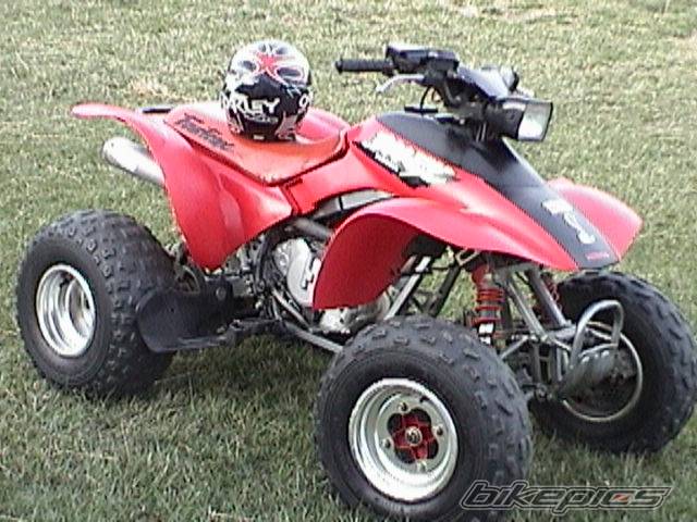 Photo 319920