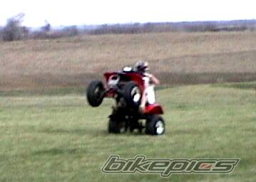 Photo 319921