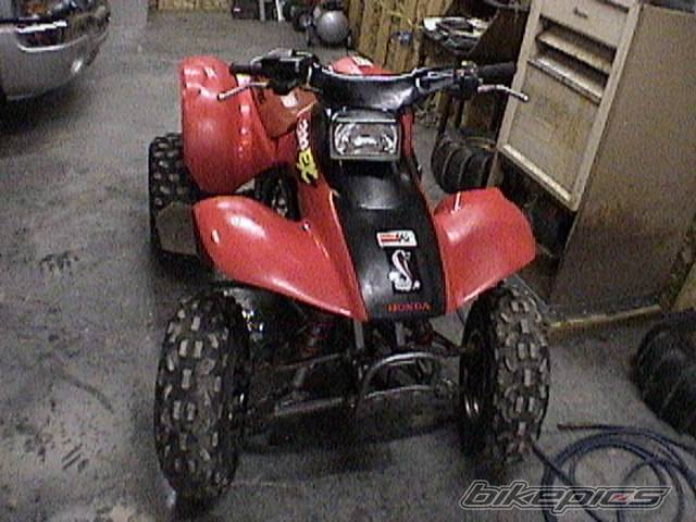 Photo 319925