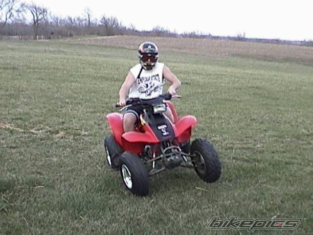 Photo 319933