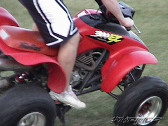 Photo 319940