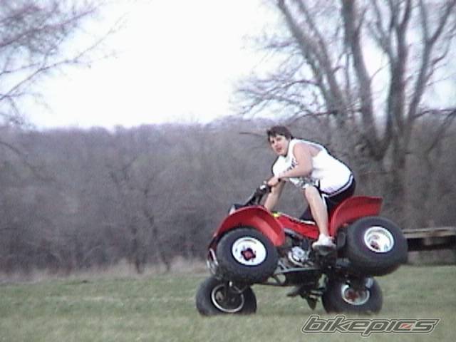 Photo 319941