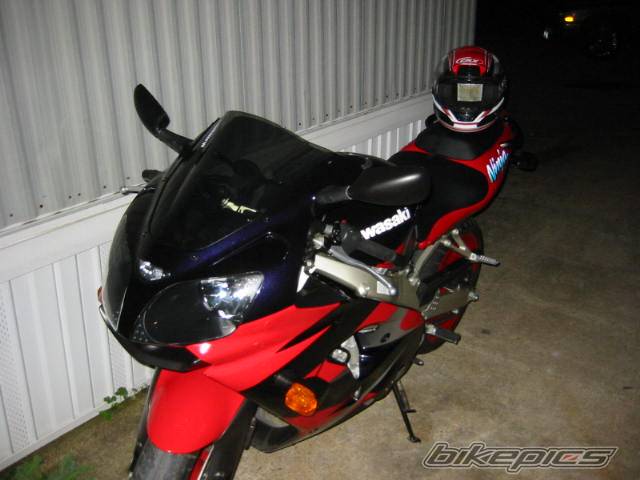 Photo 319943