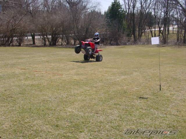 Photo 319971
