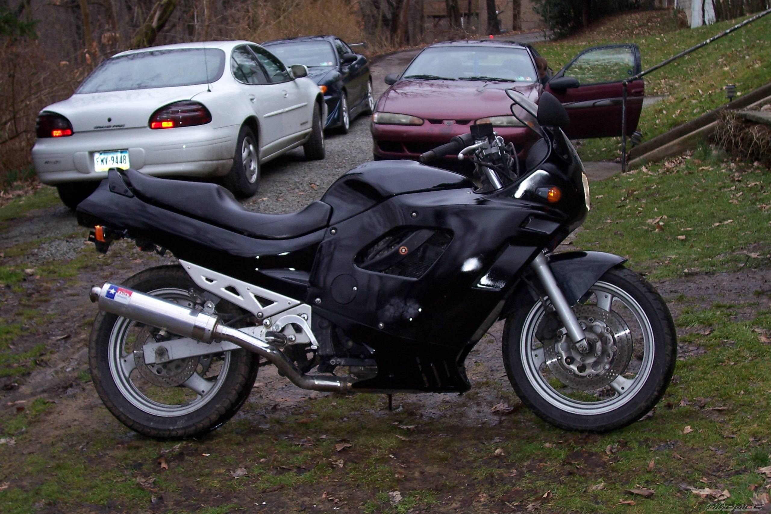 Photo 319982