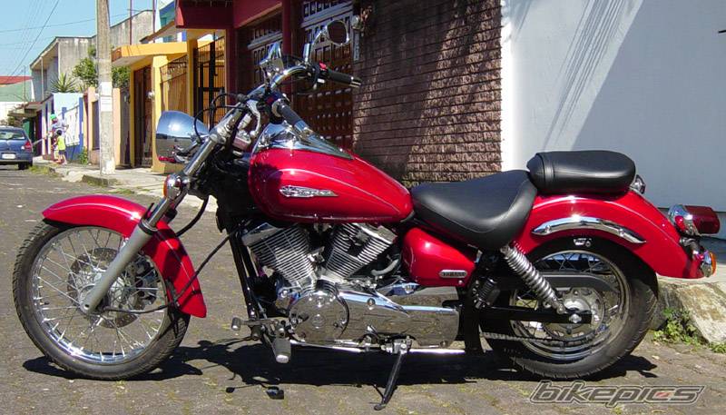 Photo 320001