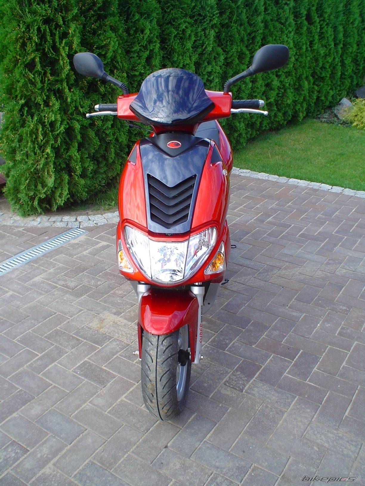 Photo 320003