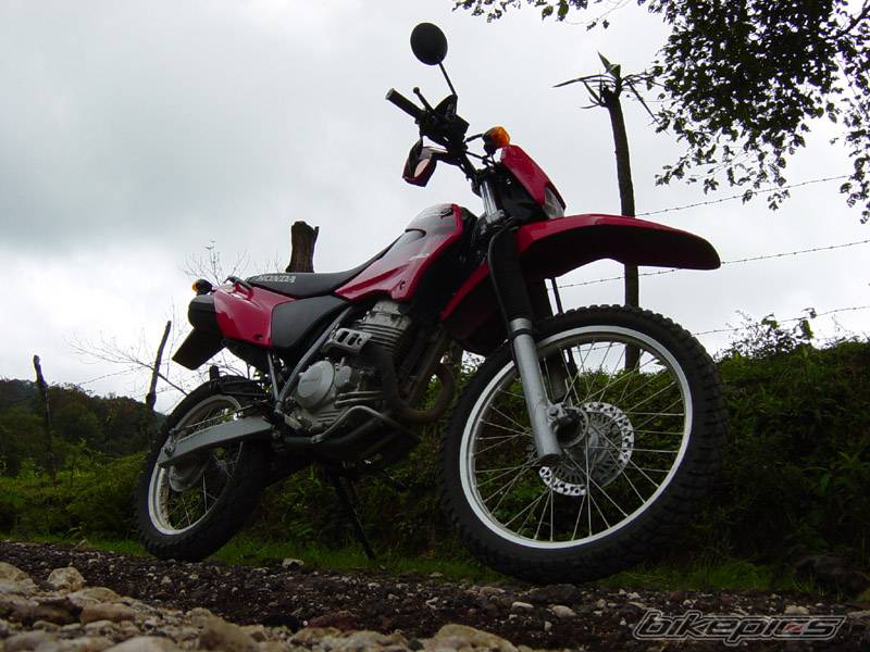 Photo 320007