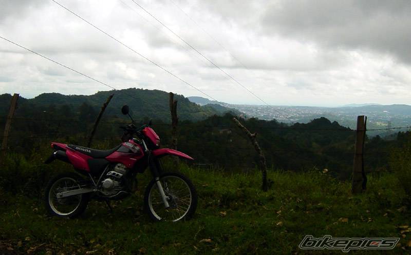 Photo 320009