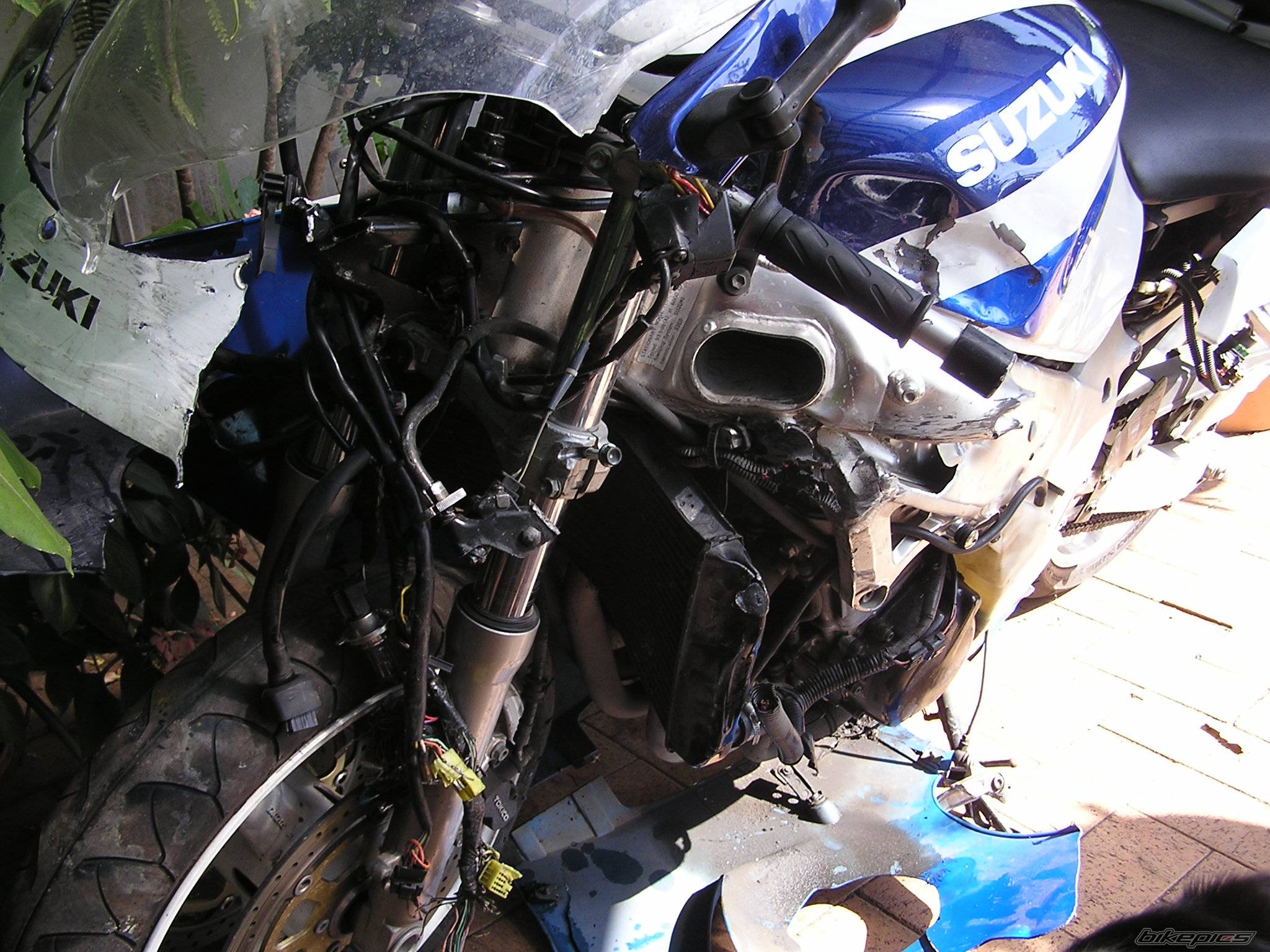 Photo 320013