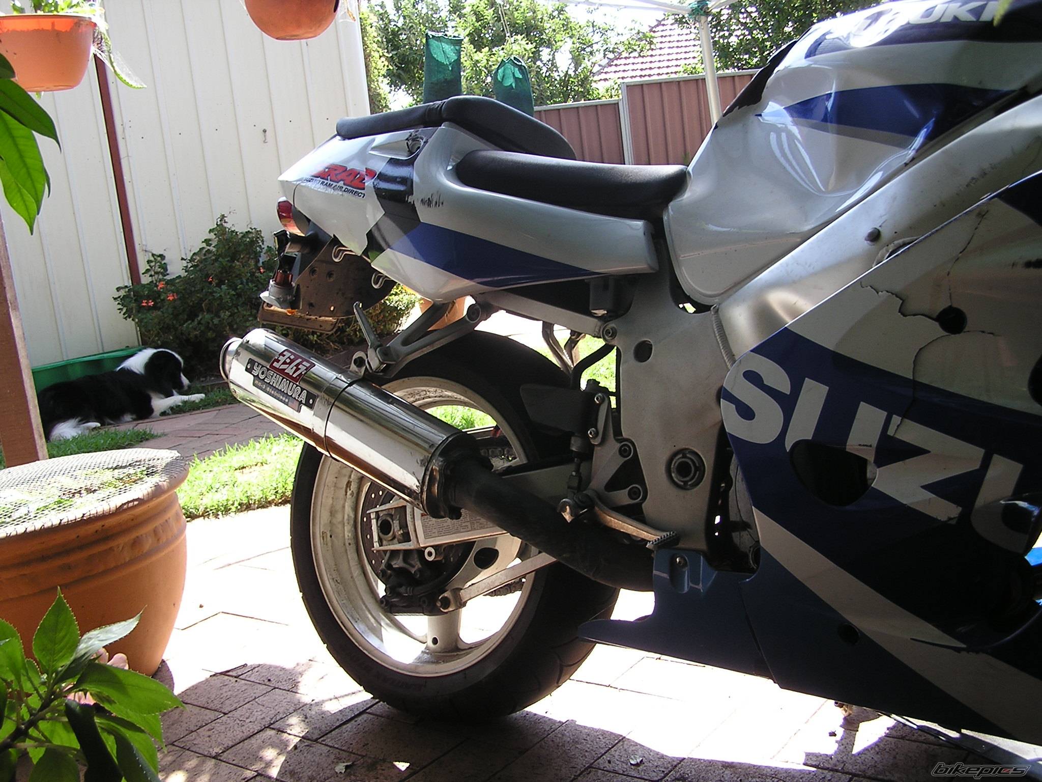 Photo 320019