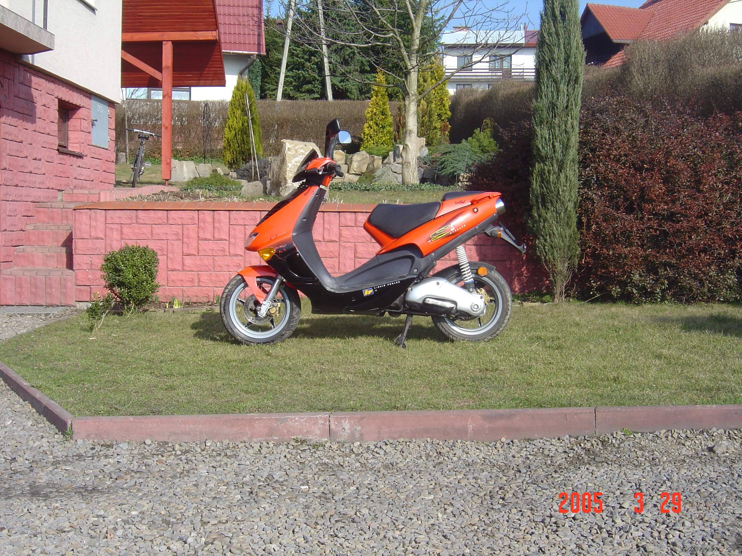 Photo 320025