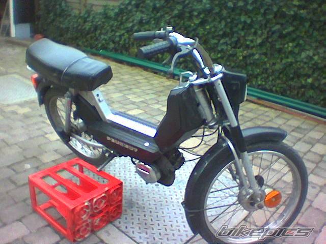 Photo 320054