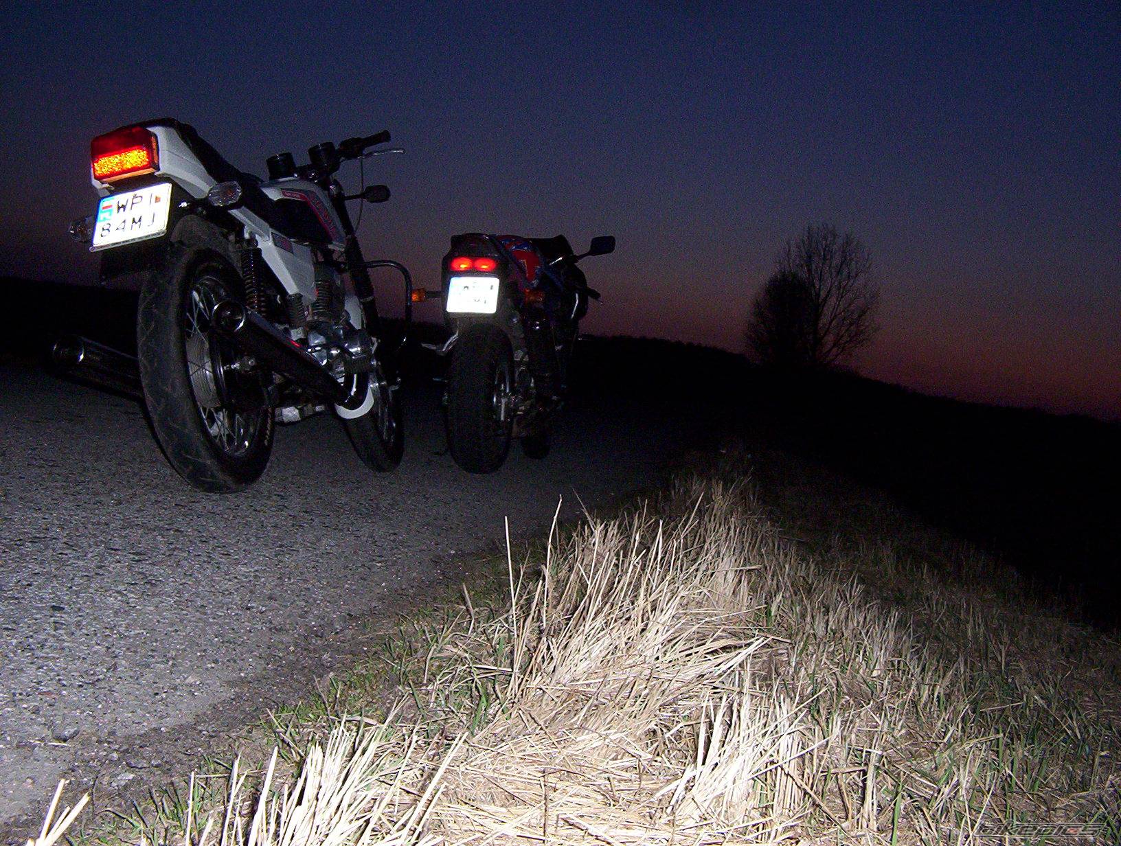 Photo 320066