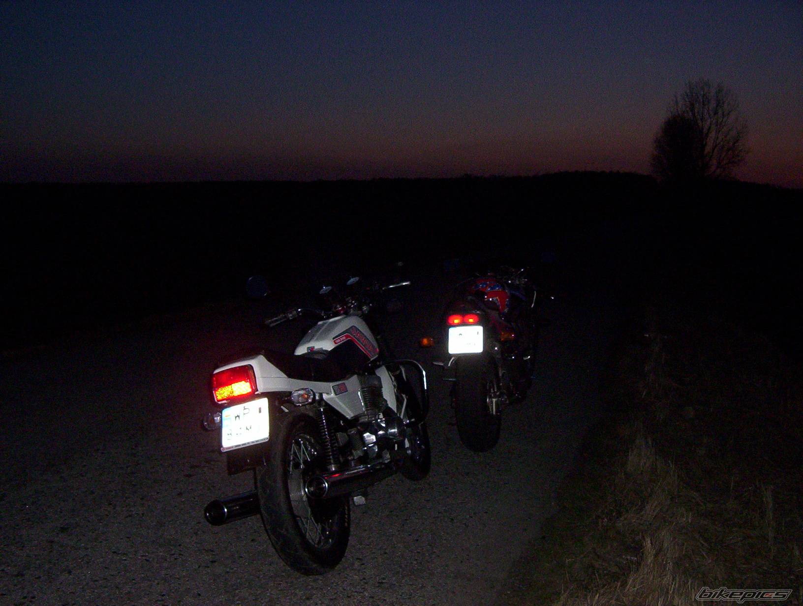 Photo 320068