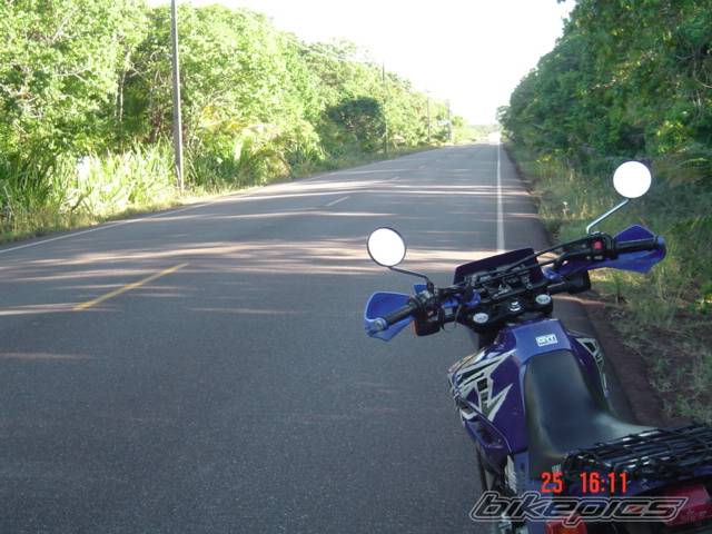 Photo 320211