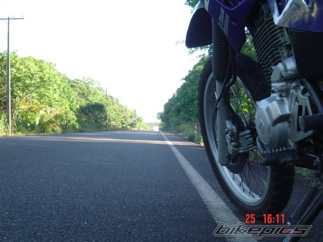 Photo 320213