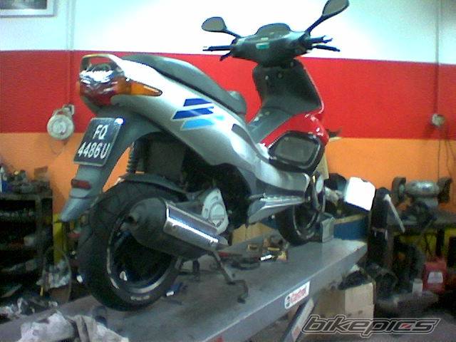 Photo 320233
