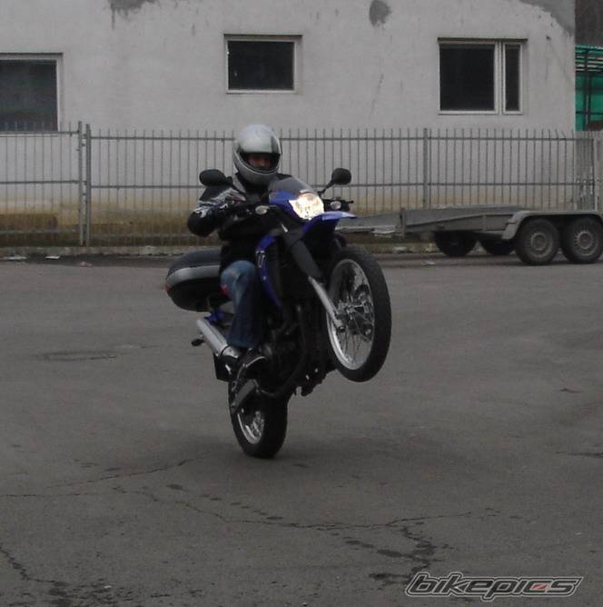 Photo 320247