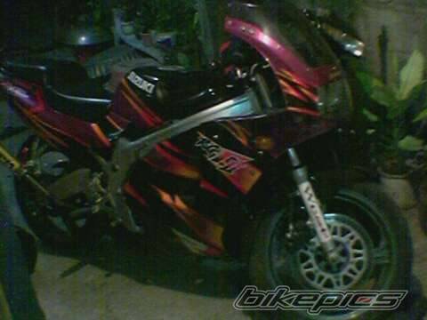 Photo 320304