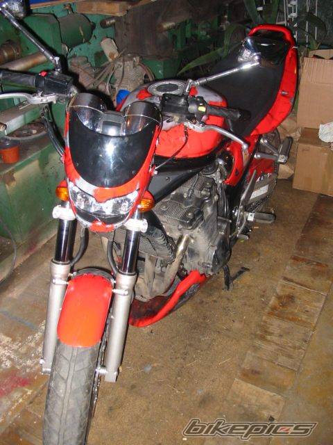 Bike Photo 320504