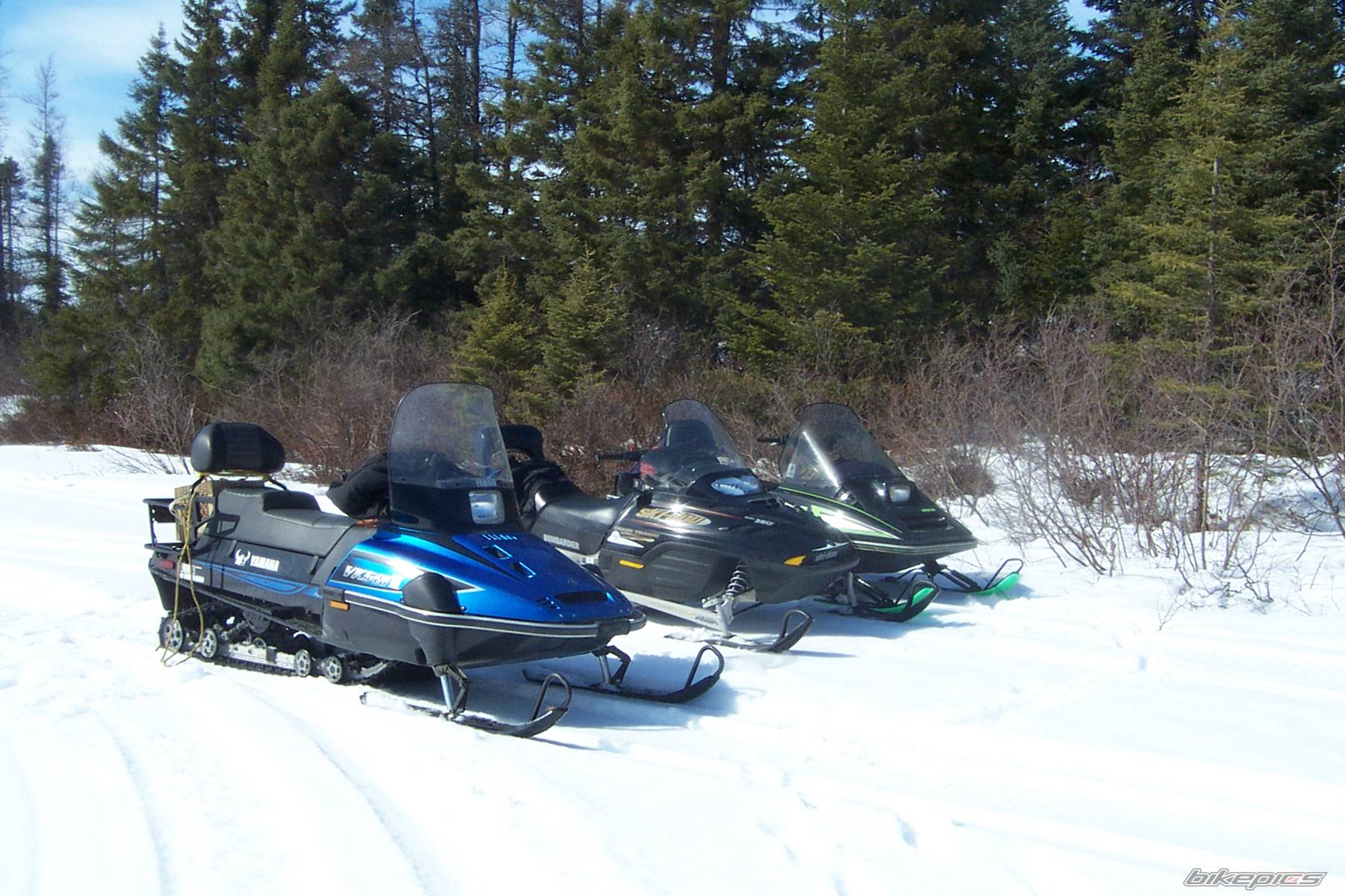 Photo 320505