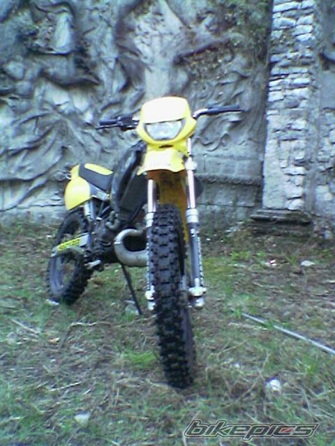 Photo 320612