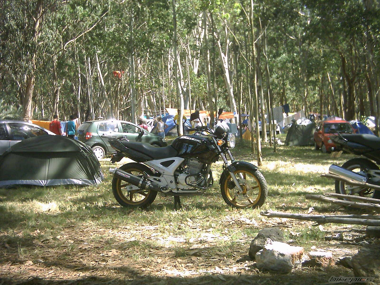 Bike Photo 320616
