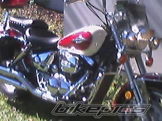 Photo 320621