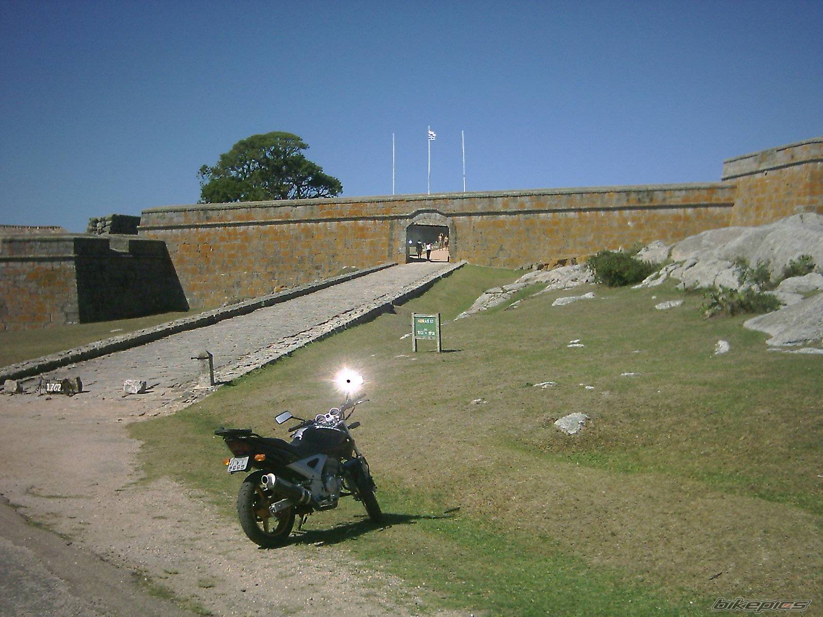 Bike Photo 320624