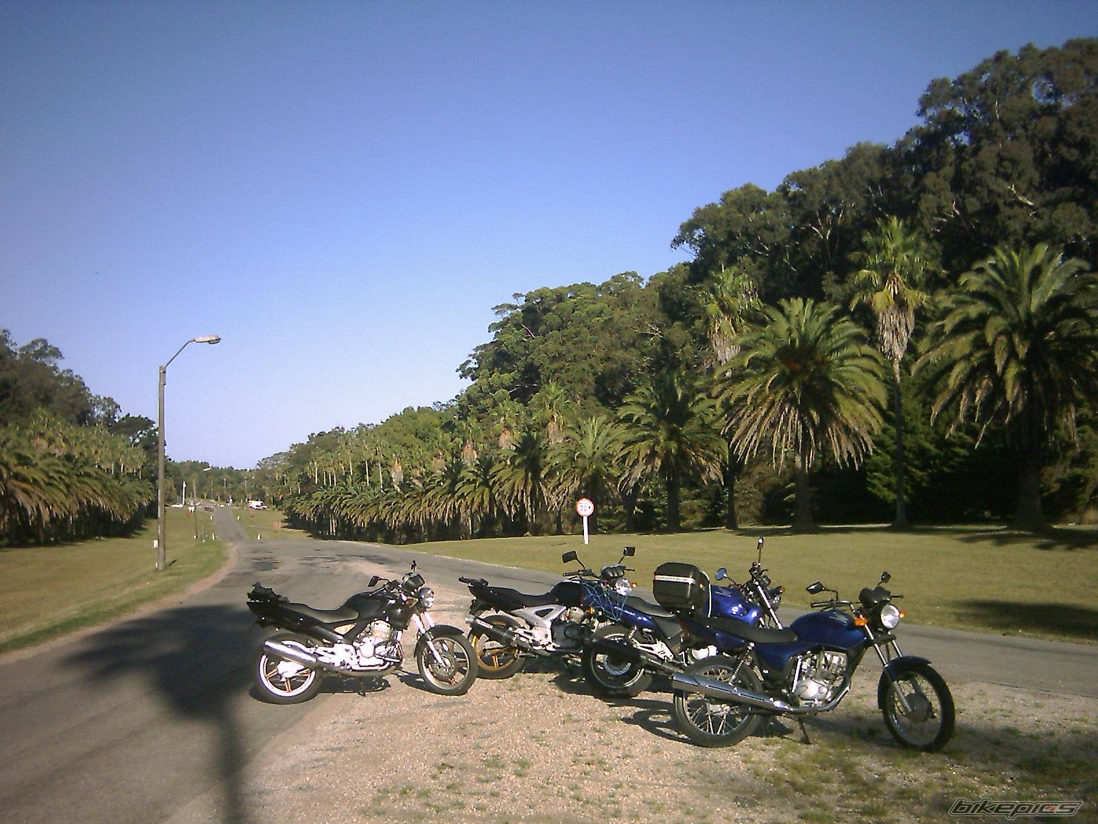Bike Photo 320629