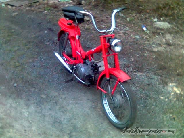 Photo 320724