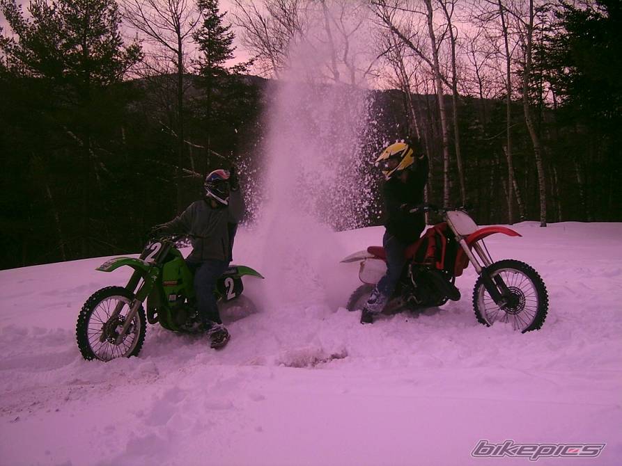 Photo 320988